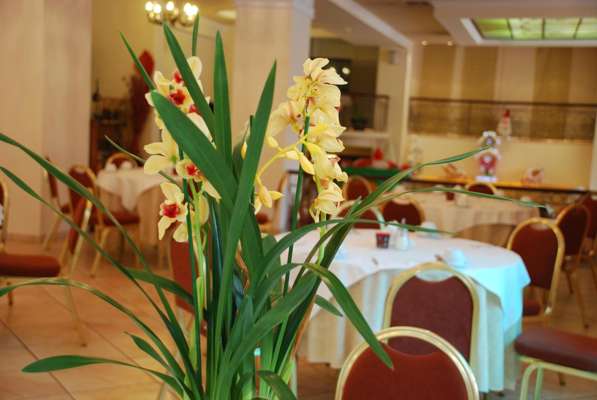 Hotel Pella Яница Экстерьер фото